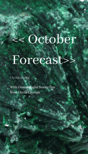 Screen Shot 2022-10-28 at 12.10.19 pm